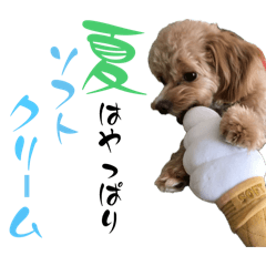 MOCHA_20251220181229