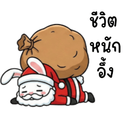 กระต่ายน้อยซานต้าผู้น่ารัก