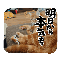 takajunk014_20251220211747