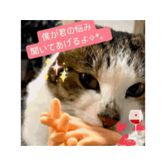 Himeko_20251221003311