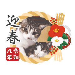 tsuki.akari_20251220230310