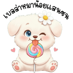 เบลล่าหมาน้อยแสนซน