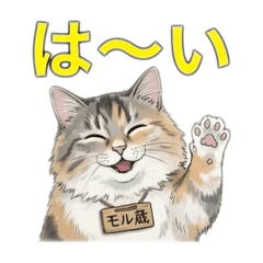 Angela_20251220223342