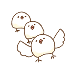 Akiko_20251220172131