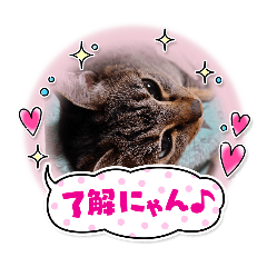 M-SAN_20251220192713