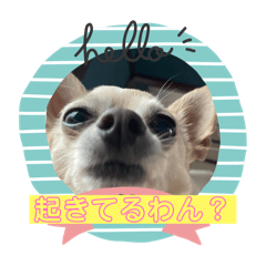 wakachan_20251220192935