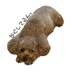 chana_20251220233355