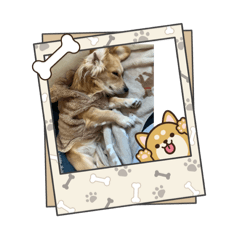 masuyanDESU!_20251220175427