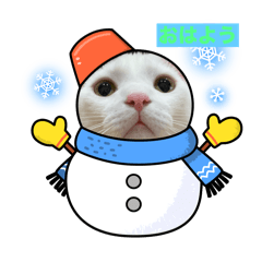 kohaku20251221002640