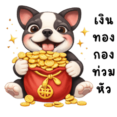 Boston Terrier: Lucky New Year