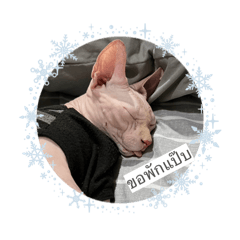 Nadtharin Ning_20251220150410