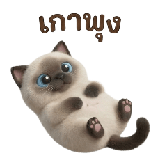 Marnote_20251220151128