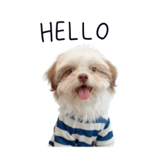 Benjies_20251220153418