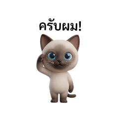 P. K. Shop_20251220153011