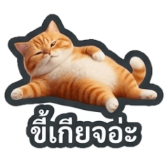 ioonanooi_20251220155847