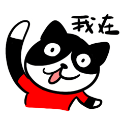 Love black white cat