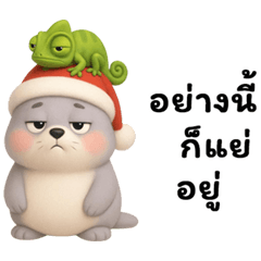 น้องมันปิ้ง: แมวน้ำสีเทาหมวกซานต้า