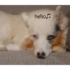 chisato_20251221075204