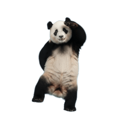 【いろんなポーズのパンダ】