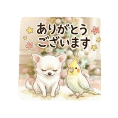 SANTE&BETTY2_20251220191927