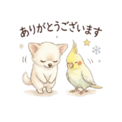 SANTE&BETTY2_20251220192452