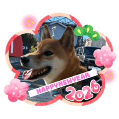 HITOMI_20251220192323