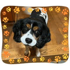 Haru yuki_20251220192317