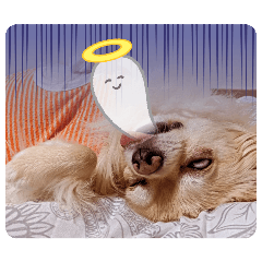 mokamoka_20251220235611