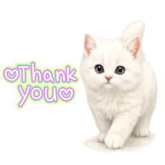 aoneko_20251221001721