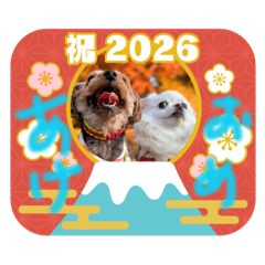 mamemama_20251221001338