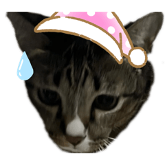 Nineyui_20251220164201