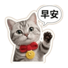 Pocky跟Louie的日常