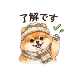Kotapapa_20251221095447
