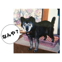 Atchin_20251220231342