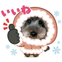 sorakko_20251221112541