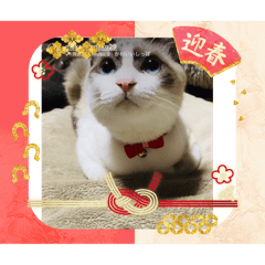 hironishi_20251220195117