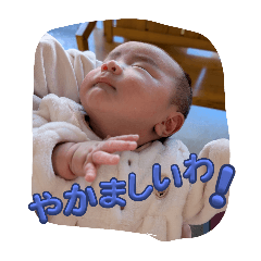 harutan_20251220204826