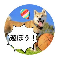 namitaro_20251220210811