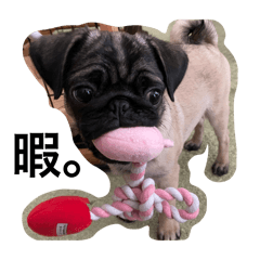 ponyo._20251220211001