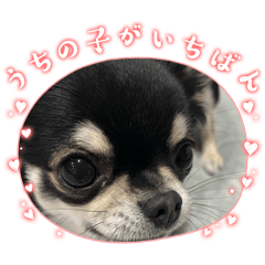 haruka_20251220210845