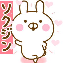 Rabbit Usahina love Seokjin 2