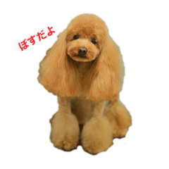 omochikun_20251221102941