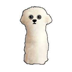 Michan_20251221102619