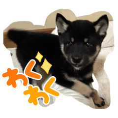 HARUNA_20251220215453