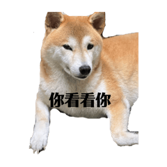 那位醜萌的柴蛋塔Part3