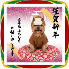 午きぐるみヨークシャテリア＊BIGお正月