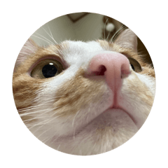 竹輪寶貝2—大臉特輯