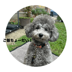 KAZUMI_20251221122815