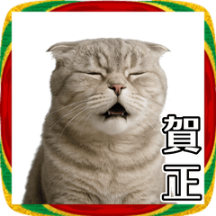 午年2026スコティッシュフォールドと馬！