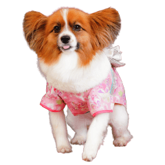 ヒメちゃんの可愛いスタンプです❕